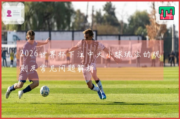 2026世界杯下注中大小球玩法的规则及常见问题解析
