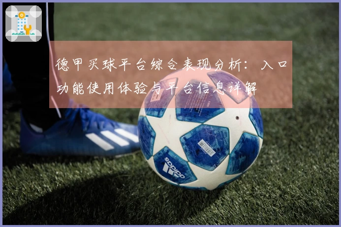 德甲买球平台综合表现分析：入口功能使用体验与平台信息详解