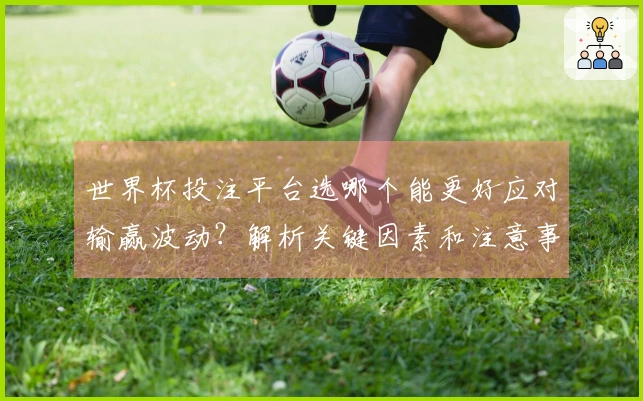 世界杯投注平台选哪个能更好应对输赢波动？解析关键因素和注意事项