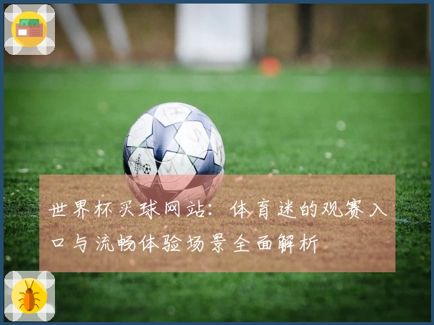 世界杯买球网站：体育迷的观赛入口与流畅体验场景全面解析
