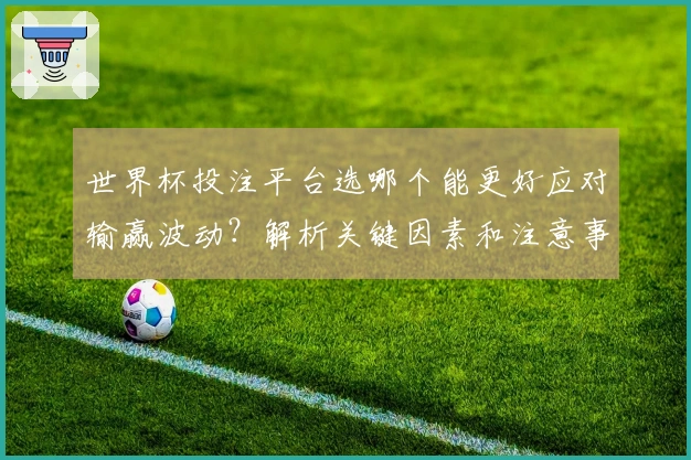 世界杯投注平台选哪个能更好应对输赢波动？解析关键因素和注意事项
