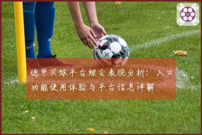 德甲买球平台综合表现分析：入口功能使用体验与平台信息详解