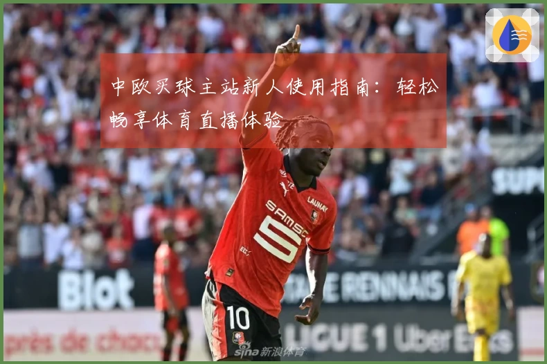 中欧买球主站新人使用指南：轻松畅享体育直播体验