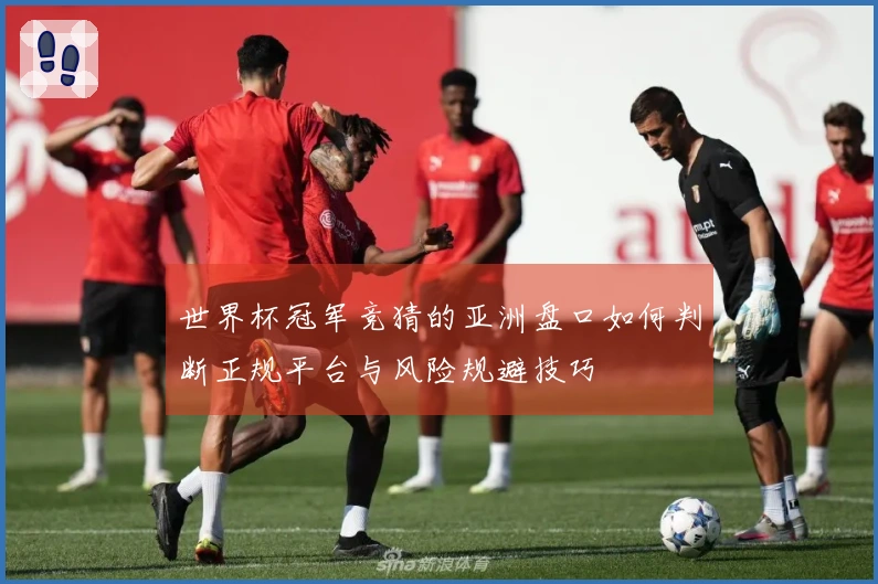 世界杯冠军竞猜的亚洲盘口如何判断正规平台与风险规避技巧